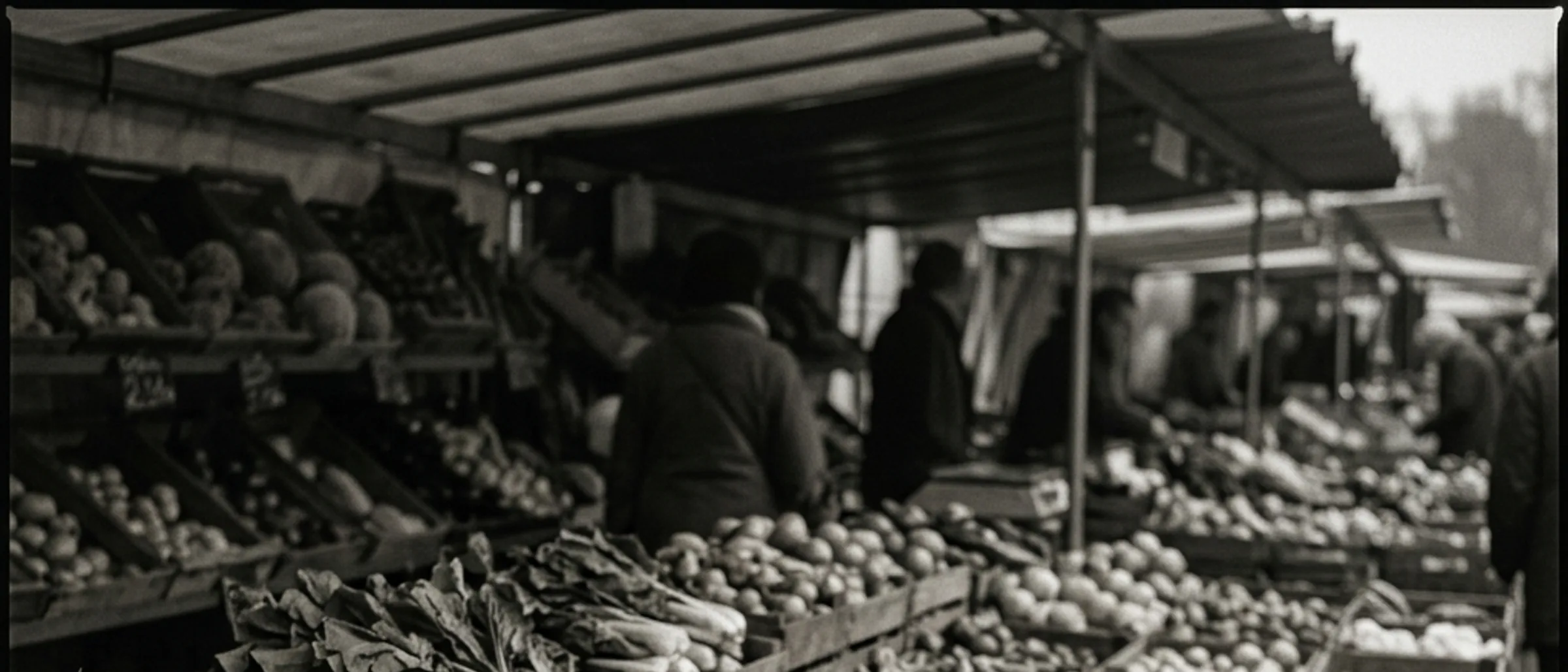 A wide greengrocer display of wooden crates filled with colourful fresh fruit and vegetables in daylight.